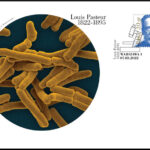 Louis Pasteur 1822-1895