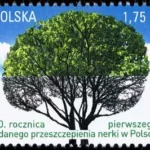 50. rocznica pierwszego udanego przeszczepienia nerki w Polsce