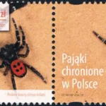 Pająki chronione w Polsce