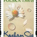 Kocham Cię

