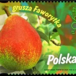 Owoce naszych sadów