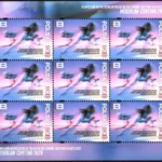 Olimpijska Reprezentacja Polski na XXV Zimowe Igrzyska Olimpijskie Mediolan-Cortina 2026